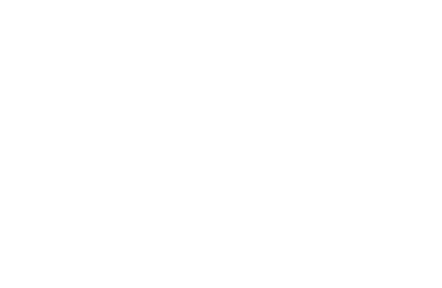 Newport Construction logo